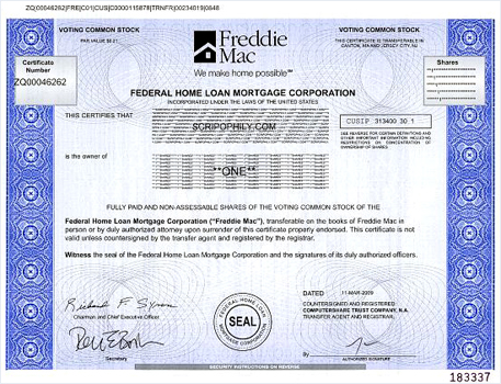 «Freddie Mac»